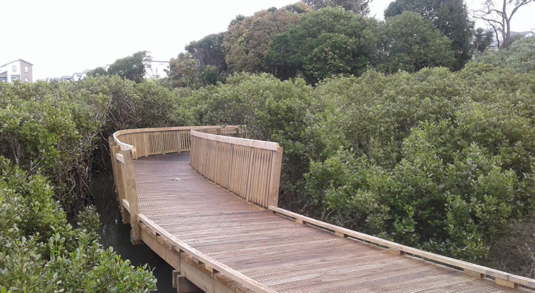 Waimāhia-ki-uta / Waimahia Park - Section of boardwalk over the mangroves.