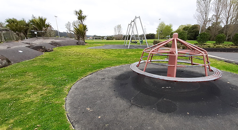 Wainoni Park North - Spinning merry-go-round with the swings, skate area, and sports fields in the background.