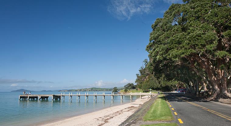 Waiomanu Reserve - Looking east over Magazine Bay and down to the jetty.