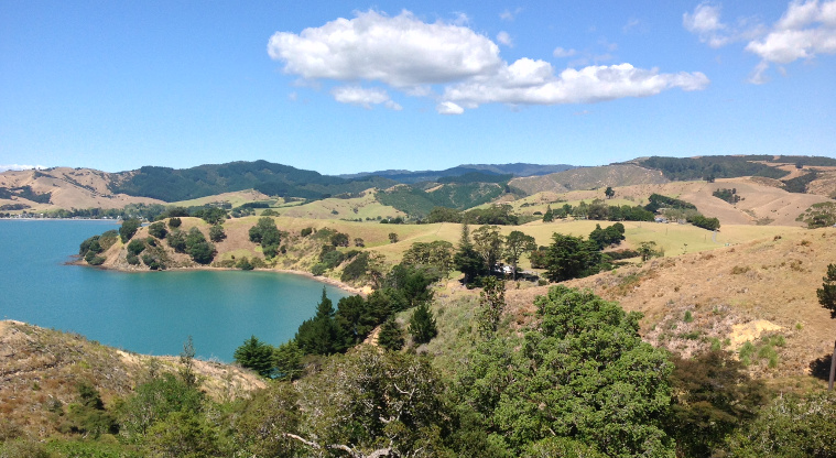 Waitawa Regional Park - View of Waitawa Bay.