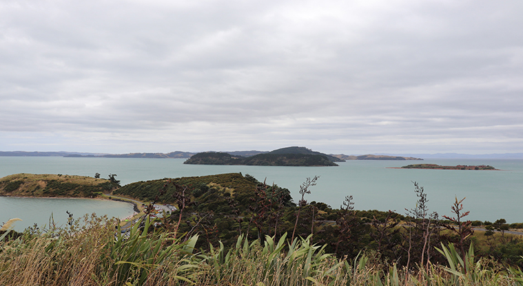 Waitawa Regional Park - Fishing from the wharf at Koherurahi Point.