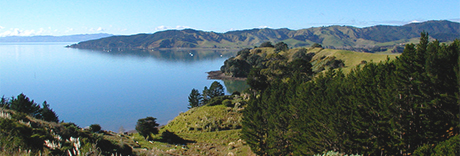 Waitawa Regional Park