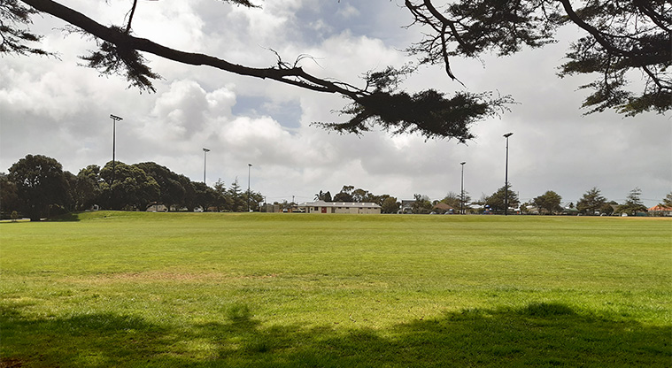 Walker Park - Sports fields.