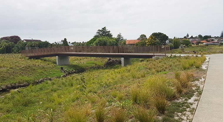 Walmsley Park - one the bridges that connect the two sides of the park.