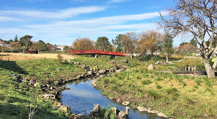 Walmsley Park – Te Auaunga Creek with a bridge in the background.