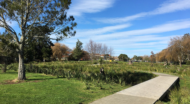 Walmsley Park – boardwalk crossing a section of Te Auaunga Creek.