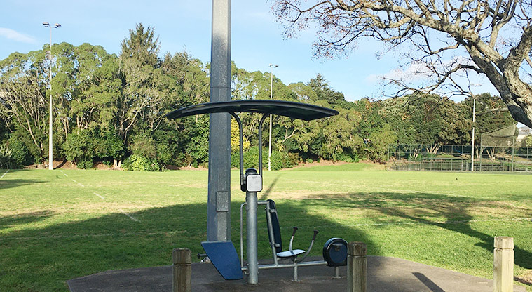 Warren Freer Park - Piece of fitness equipment in front of the car park. Photo credit: S Hulse.