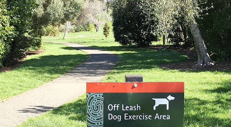 Watea Reserve - The entrance to the reserve with a dog walking sign and section of path through the trees. Photo credit: S Hulse.