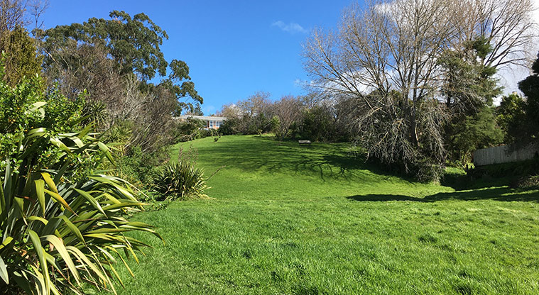 Watea Reserve - Open green space with trees on both sides, and looking up the hill towards Taumata Reserve. Photo credit: S Hulse.