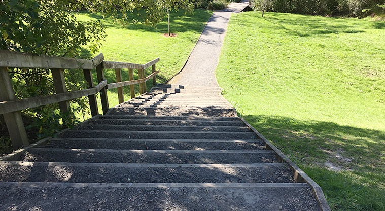 Watea Reserve - Looking down the steps to the path below. Photo credit: S Hulse.
