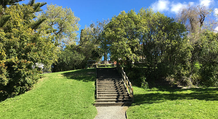 Watea Reserve - Looking back at the steps going up the hill between trees. Photo credit: S Hulse.