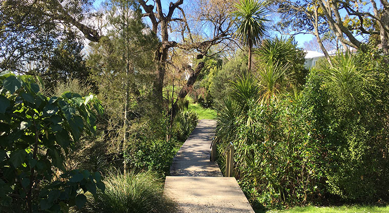 Watea Reserve - A section of boardwalk and steps through the trees. Photo credit: S Hulse.
