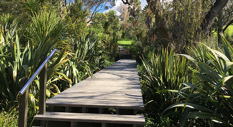 Watea Reserve - Looking back up some steps and along the boardwalk. Photo credit: S Hulse.