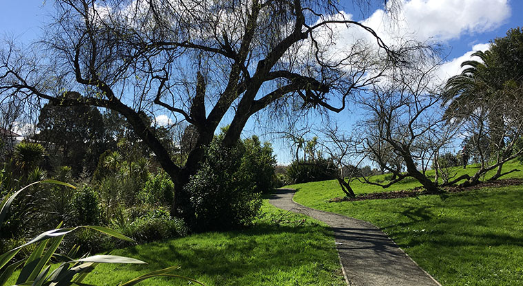 Watea Reserve - Section of gravel path winding between the trees. Photo credit: S Hulse.