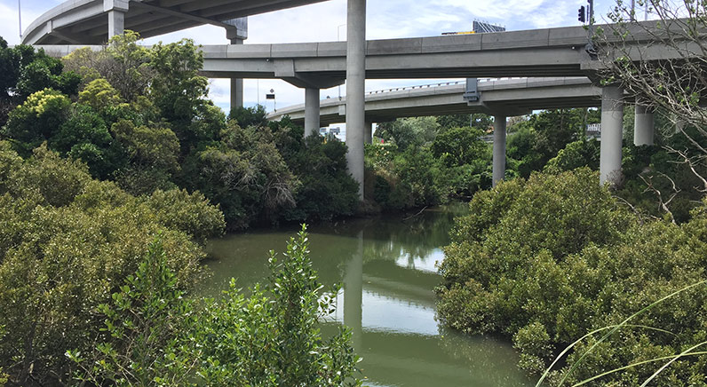 Waterview Reserve – The mouth of Te Auaunga (Oakley Creek).