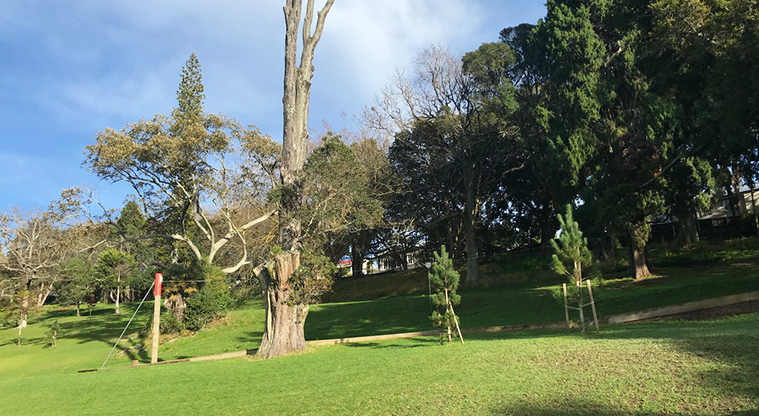 Western Park - Trees and open space.