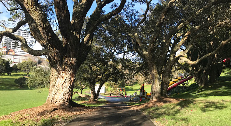 Western Park - Path through the trees with the playground in the background.