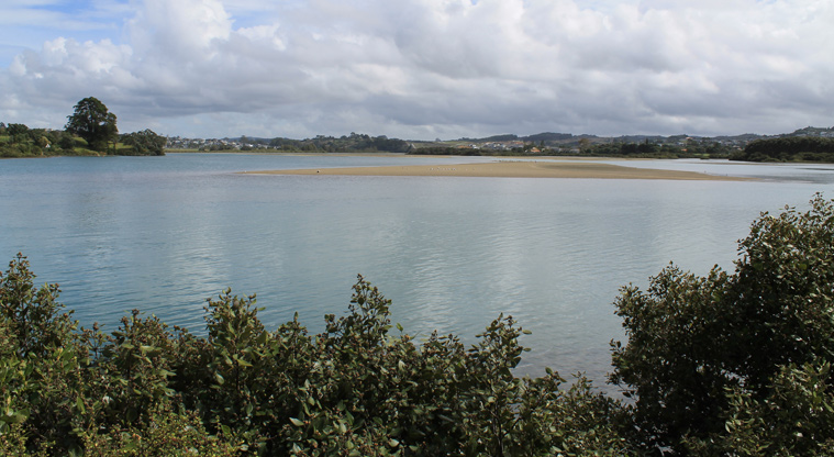 Western Reserve - Looking out across Ōrewa estuary. Photo credit: M Loubser.