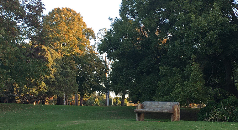 Western Springs Lakeside - Wooden seat under the trees.