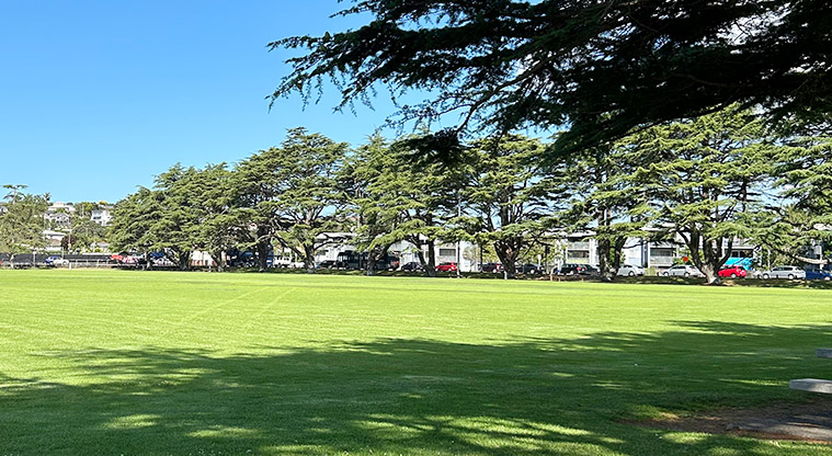 Western Springs Outer Fields - Large grassed fields with trees and Great North Road in the background. Photo credit: S Hulse.