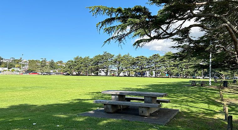 Western Springs Outer Fields - Picnic tables with the fields and trees in the background. Photo credit: S Hulse.