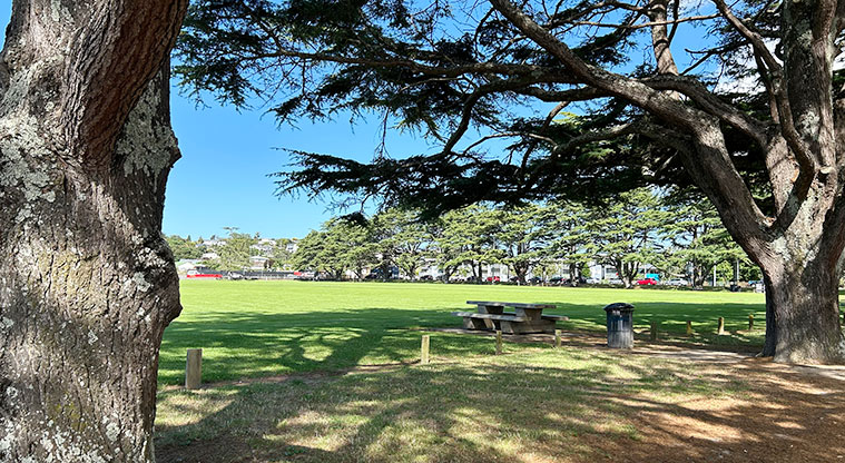 Western Springs Outer Fields - Picnic tables with the fields and trees in the background. Photo credit: S Hulse.