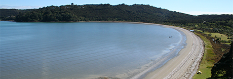 Whakanewha Regional Park