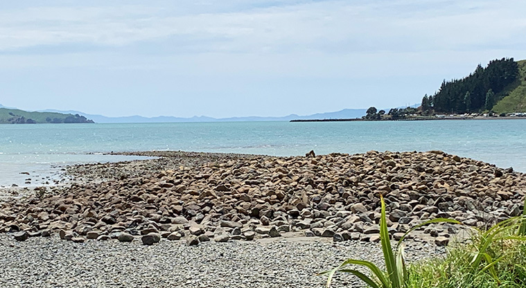Whitford Point Reserve - View out to the Hauraki Gulf.