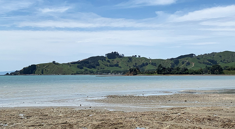 Whitford Point Reserve - View across Kawakawa Bay.