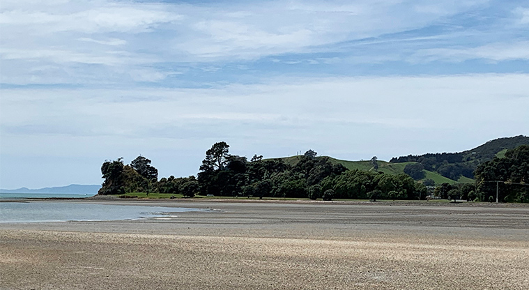 Whitford Point Reserve - View across Kawakawa Bay.