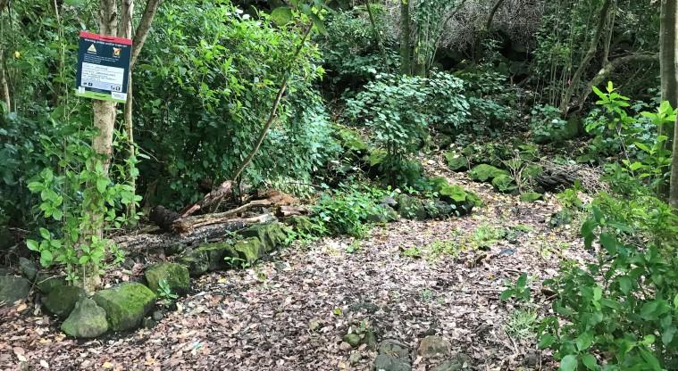 Withiel Thomas - Section of the path at the southern entrance.