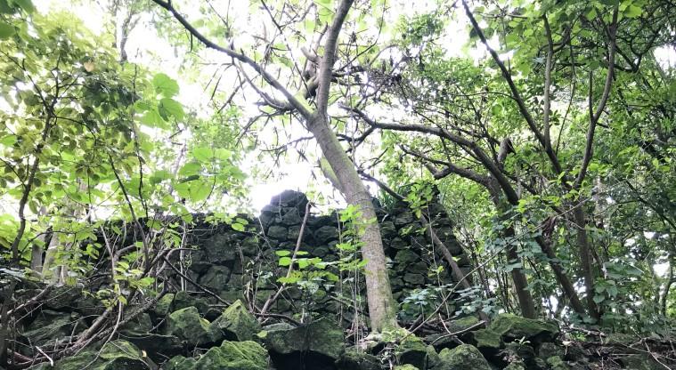 Withiel Thomas - Remnants of one of the walls from the original garden.