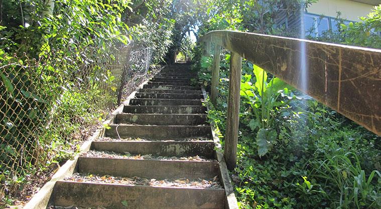 Wonderview Road Esplanade - A section of steps along the path.