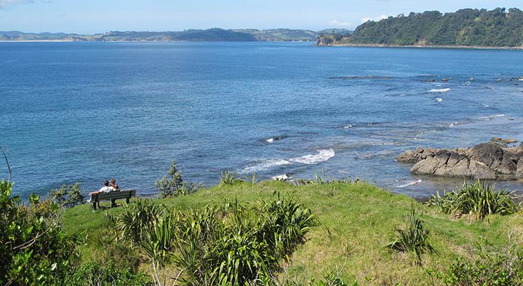 Wonderview Road Esplanade - Looking out to Omaha and Tāwharanui.