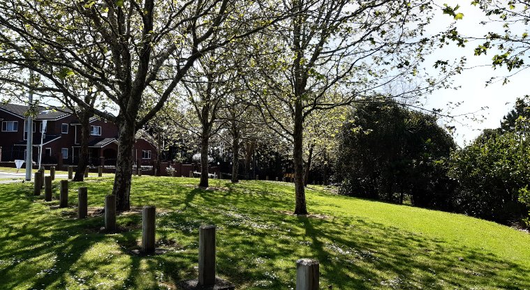 Xena Park - Open grassed area with trees. Photo credit: Tracey Hodder.