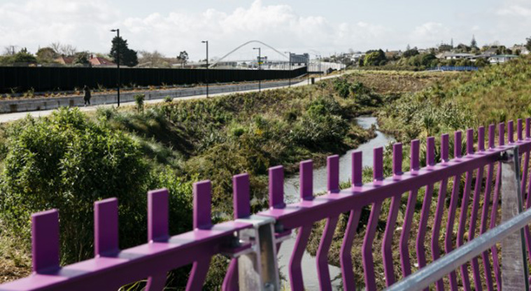Alan Wood Reserve Path - View over Te Auaunga - Oakley Creek from Mokomoko Bridge.