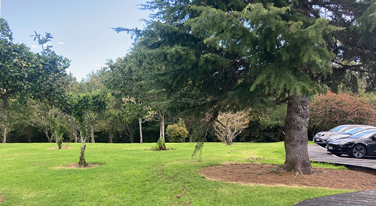 Albany Village Path - The heritage orchard at Kell Park, adjoining the car park.