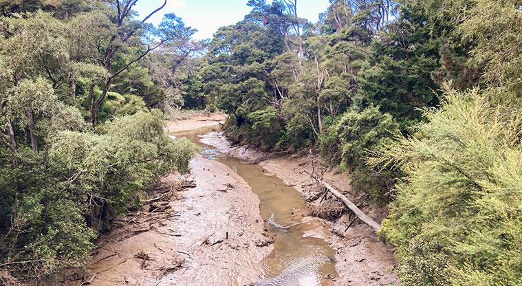 Albany Village Path - Great views of Lucas Creek from the tall bridge to Lucas Point - worth the side trip.