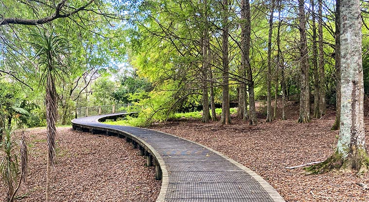 Albany Village Path - A gentle boardwalk takes you down from the orchard to Lucas Creek.