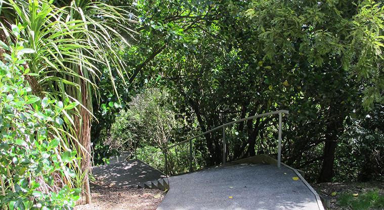 Albany Village Path – The path leading down to viewing platform from the library. Note there are a few steps.