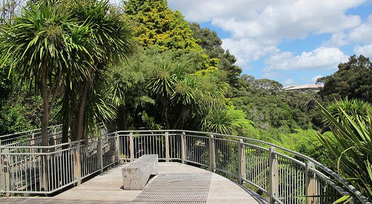 Albany Village Path - Great views over Lucas Creek from the platform near the library.