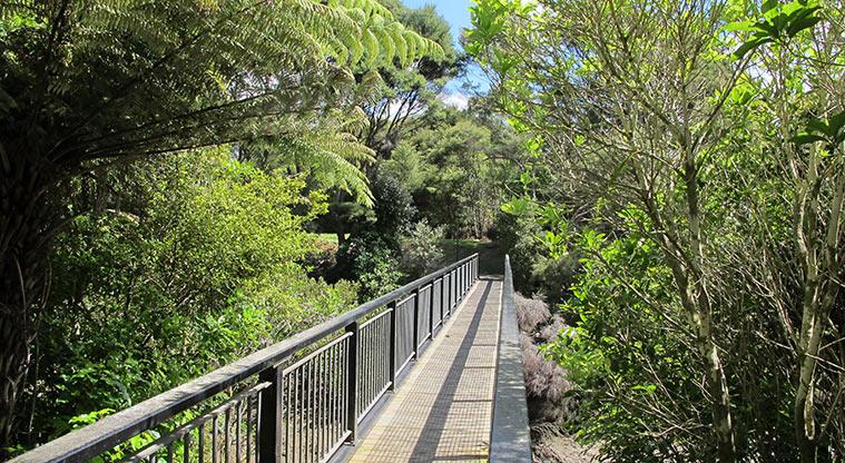 Albany Village Path - Follow the bridge over Lucas Creek.