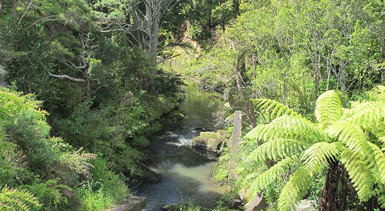 Albany Village Path – View from the bridge over Lucas Creek.