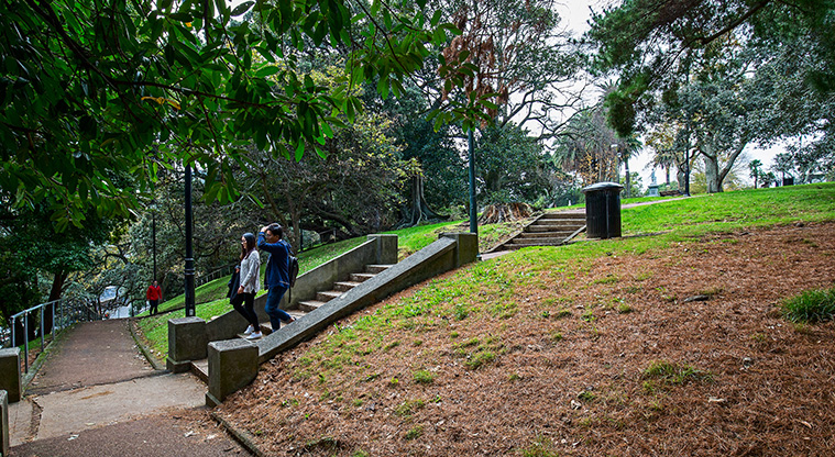 Albert Park Path - Steps up from the Art Gallery (avoid by accessing from Princes Street).