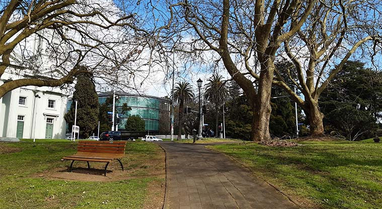 Albert to Myers Urban Ngahere Path – The path begins at Constitution Hill.