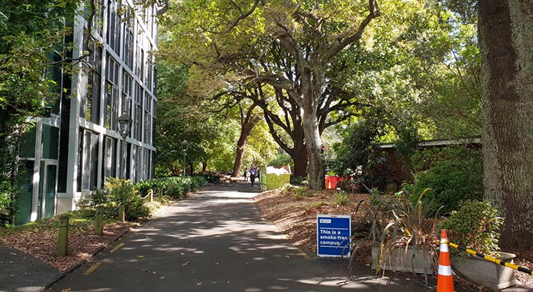Albert to Myers Urban Ngahere Path – Heading into the University of Auckland campus.