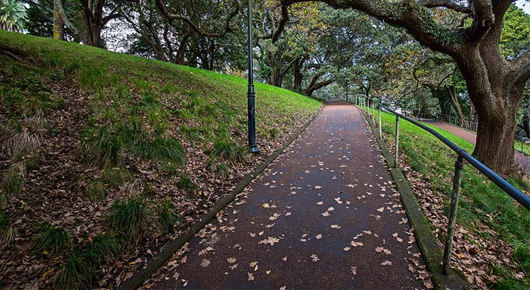 Albert to Myers Urban Ngahere Path – Path leading out of Albert Park.