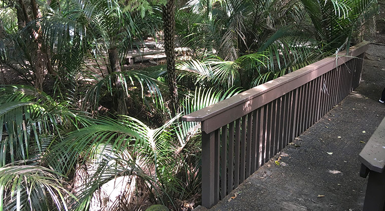 Alice Eaves Bush Path - Bush track from Old North Road.