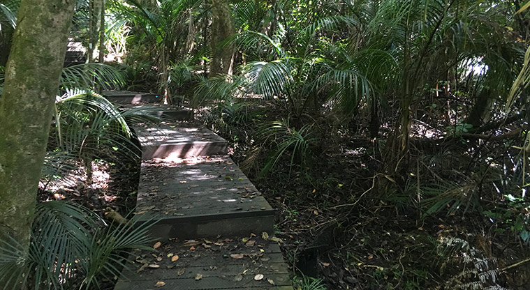 Alice Eaves Bush Path - Peaceful bush track.