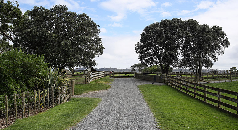 Ambury Farm Path - Walk right through a working farm.